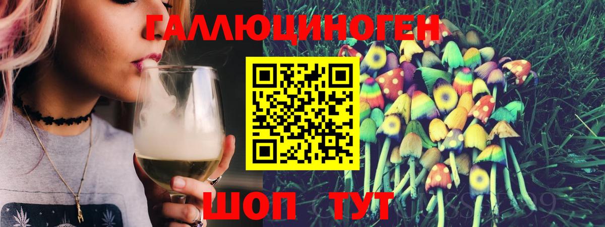 Псилоцибиновые грибы GOLDEN TEACHER  Вход с VPN  Белая Калитва  Псилоцибиновые грибы Magic Shrooms 