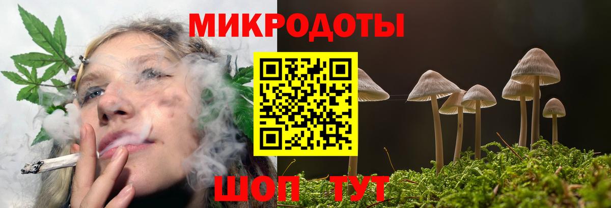 Псилоцибиновые грибы прущие грибы Белая Калитва